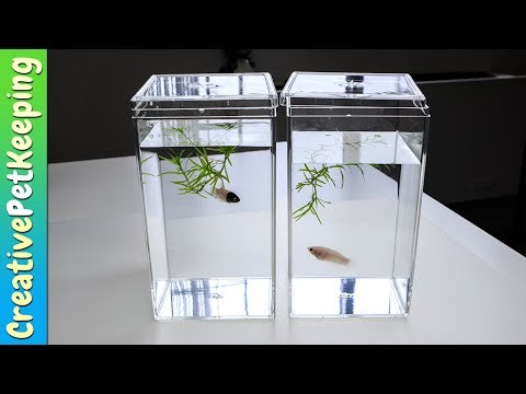 Reviews of acrylic displays