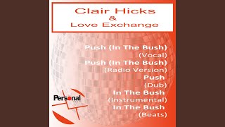 In The Bush (Instrumental)