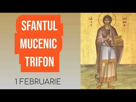 SFANTUL MUCENIC TRIFON - 1 februarie
