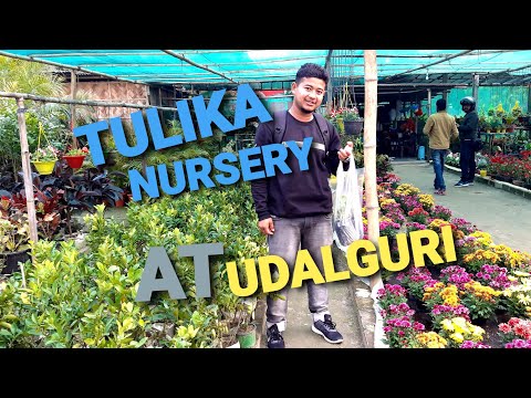 FLOWERS NURSERY  // UDALGURI //