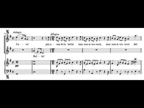 Caro! Bella! Più amabile beltà (Giulio Cesare - G.F. Händel) Score Animation