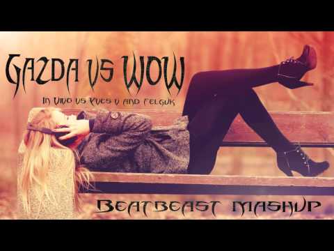 In Vivo - Gazda vs. Yves V, Felguk - WOW (Beatbeast Mashup)