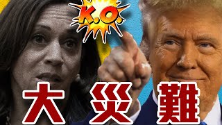 [黑特] 賀錦麗是不是小草啊?