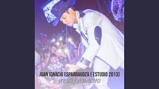 Juan Ignacio Esparragoza (Estudio 2013)