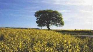 Keine Heimat - Herbert Grönemeyer