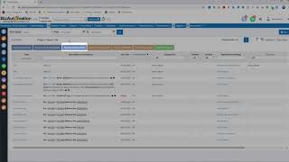 BizAutomation video