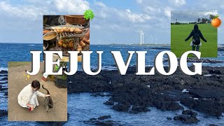 JEJU VLOG - - - P인간들의 J같은 알찬 여행코스~~
