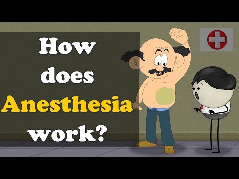 麻醉是如何工作的？| 麻醉的工作原理 (How does Anesthesia work? | #aumsum)