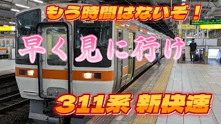311系 新快速 豊橋行 尾張一宮 2024年4月2日