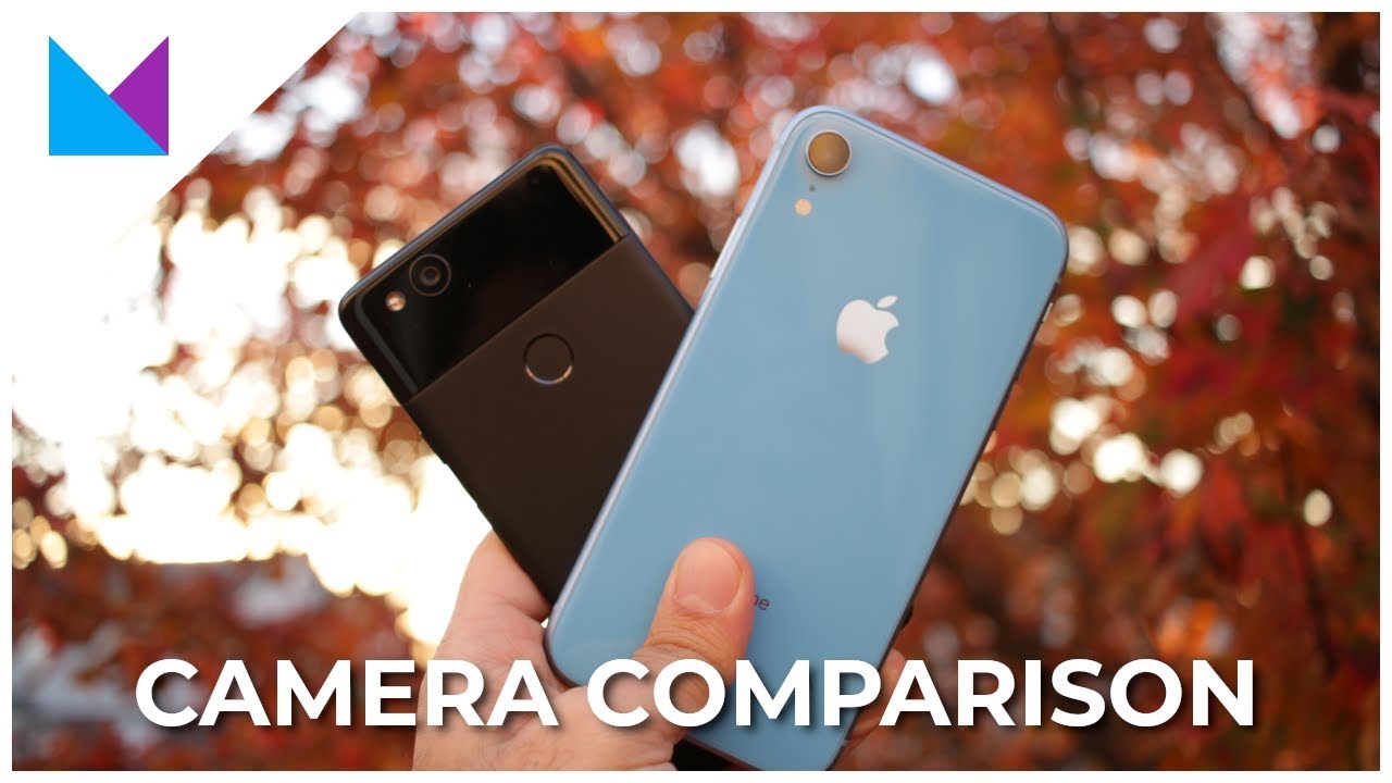 iPhone XR vs Pixel 2 Camera Comparison