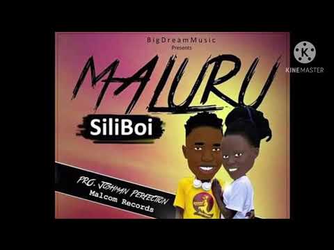 MALURU SiliBoi