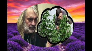 RIBLJA CORBA-ZELENA TRAVA DOMA MOG (TEKST)