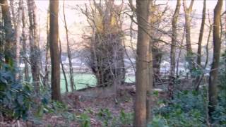 Josh Ritter --- Bright Smile