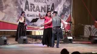 preview picture of video 'Ionica Aranea - Pizzica - Presicce (LE) 6 agosto 2013'