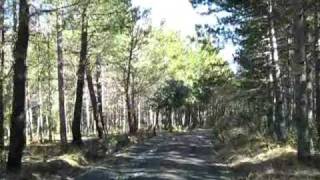 preview picture of video '2009-03-07; 31 a 33; desde El Vado hacia Campillo de Ranas'