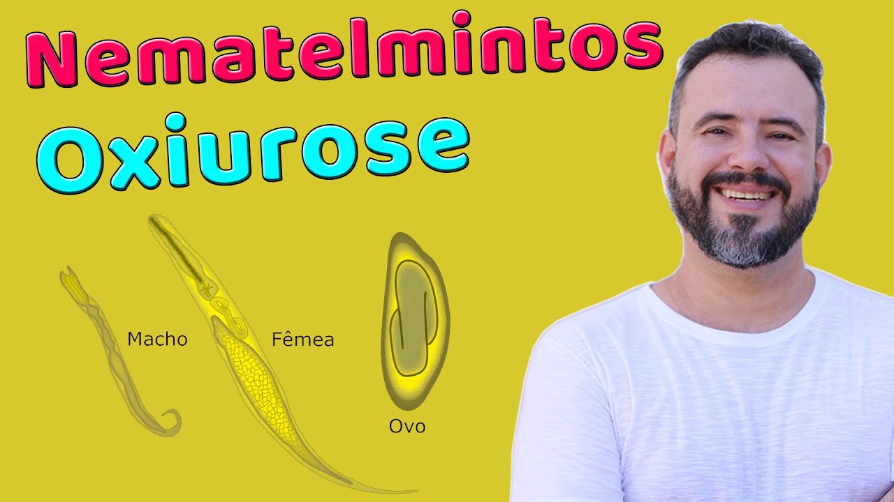 NEMATELMINTOS | Oxiurose (Oxiurus ou Enterobiose) | Enterobius vermicularis | Prof. Daniel Fernandes