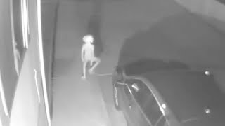 わかちこしてて草 - カメラが捉えた…衝撃映像!正体不明、奇妙な未確認生物【 都市伝説 UMA 未確認生物 未確認生命体 映像 】