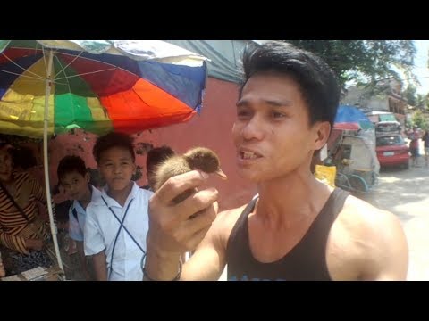 , title : 'Vlog #9 Nanalo ako ng ITIK'
