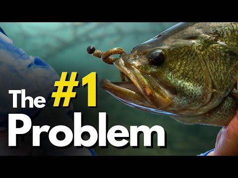 Underwater Footage of WHY Anglers Often Miss Bites