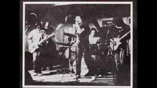 Radio Birdman- Snake