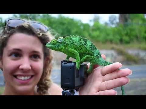 Mega Hits - The Best Of Deep Vocal Deep House Music Mix 2020 - Summer Music Mix 2020