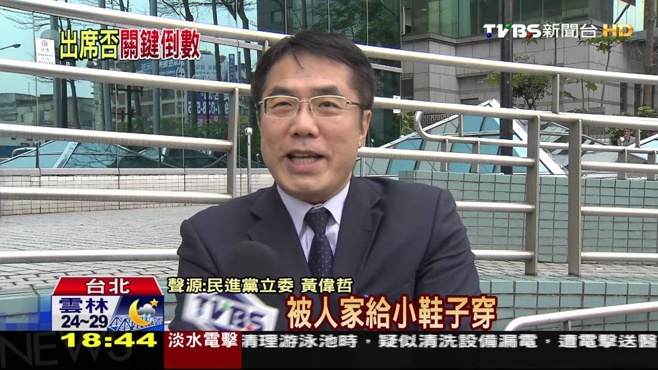 WHA去不去? 洪奇昌:不參加或當場抗議