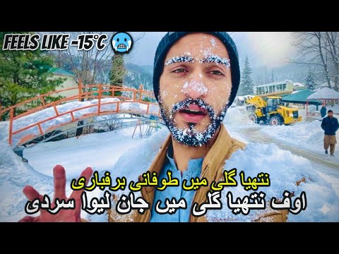 How Is the Weather in Nathia Gali Today? Murree & Nathia Gali Latest Weather Update |Snowfall Chance