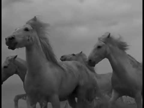 Crystal✝Angel - Tulpa Creation