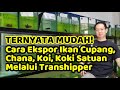Dua Kegiatan Dalam Pengiriman Ikan Hias