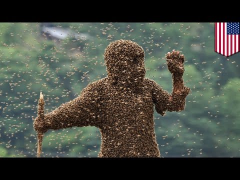 Jak moc cesarza Jako sól wpływa na potencję u mężczyzn