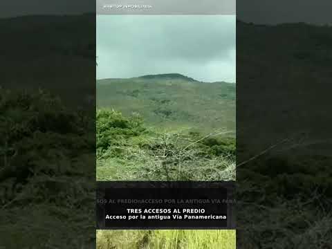 #inmobiliaria #bienesraices FINCA GANADERA EN VENTA | YOTOCO – VALLE DEL CAUCA