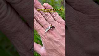 Download lagu Umpan pancing vintage terkecil 🐟🪝 mp3 Download lagu Umpan pancing vintage terkecil 🐟🪝 mp3