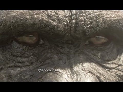 Life Is About Survival! - EPOCH RISING