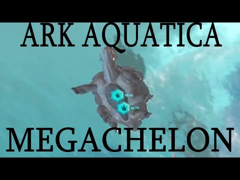 Most Cost Efficient way to tame a Megachelon on Aquatica! Ark: Survival Evolved Aquatica!