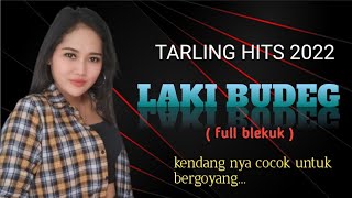Download lagu TARLING HITS 2022 LAKI BUDEG-RAMPAK KENDANG KOPLO -PONGDUT SUNDA ( BAJIDOR ) mp3