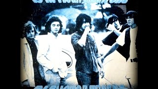 13TH FLOOR ELEVATORS - BEFORE YOU ACCUSE ME (alternate take)