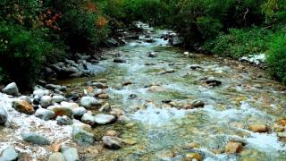 Reuben Halsey &amp; Miranda Dickinson - Running Home