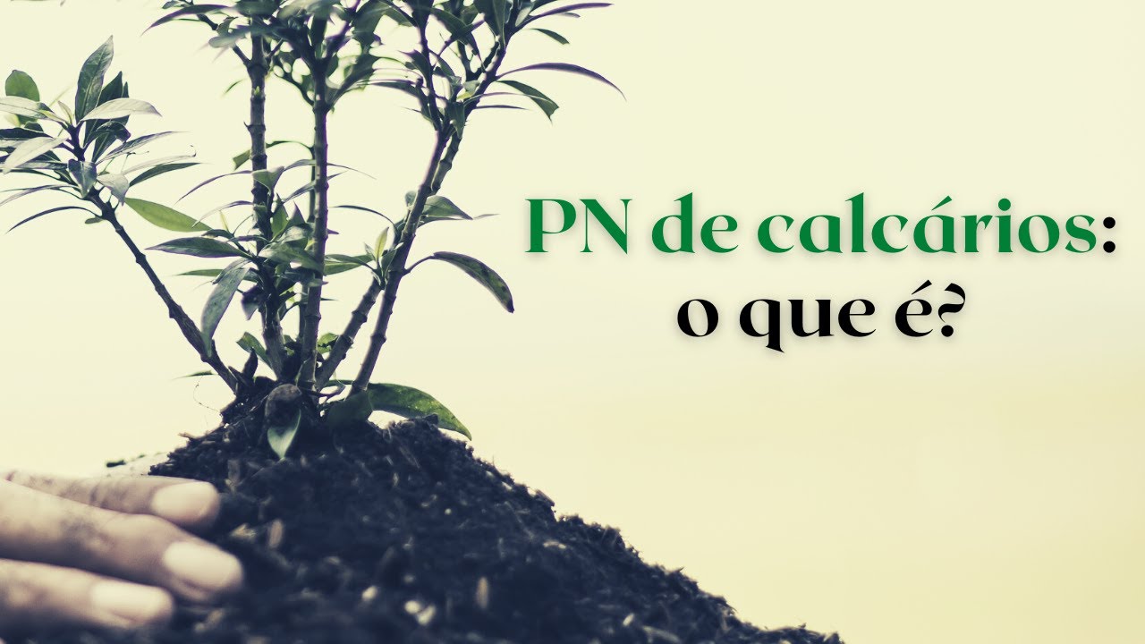 PODER de NEUTRALIZAÇÃO de CALCÁRIOS (teoria) #acidificação #calcário #soloácido