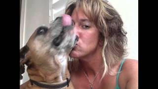 PPITS 2015 Year in Review