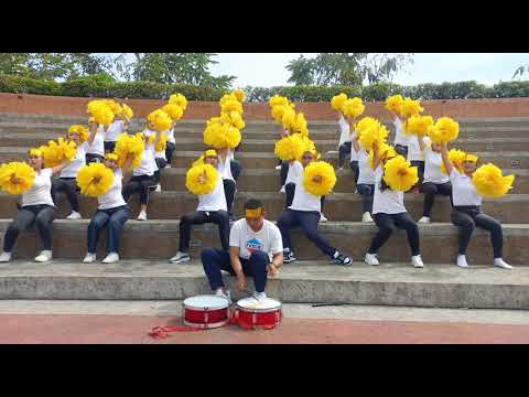 Bench Yelling | Yellow team - ADSCO