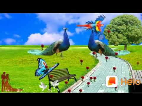 Ganesh & Dharmistha Marriage Videos Song~03/06/2017(83)