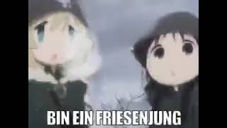 Cover art for BIN EIN FRIESENJUNG