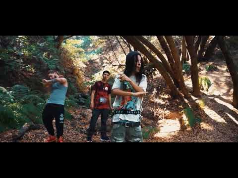 Arkoe -Stunting [AMV]