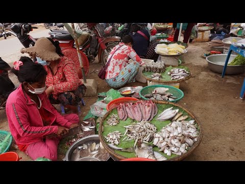 Morning Food Market At Phsar Phum Thom - Walking Around Phum Thom Market @ Phnom Basith