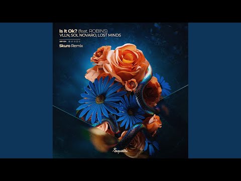 Is It Ok? (Skuro (IT) Remix)