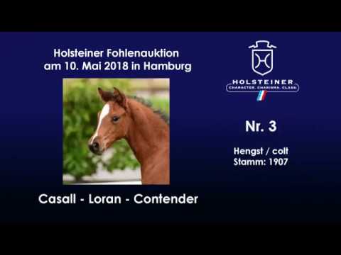 Holsteiner Fohlenauktion Hamburger Derby | Nr. 3 v. Casall - Loran