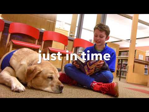 Dogs and Tales at Home: Daylin