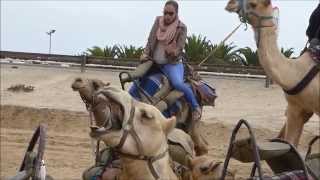preview picture of video 'Camel Riding in Namibia - Semester at Sea Spring 2015'