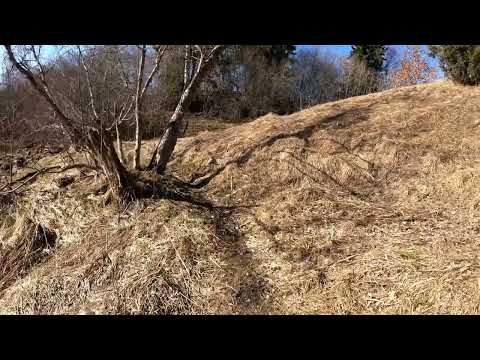 Knaapinkoski, Tarvasjoki 16.4.2023