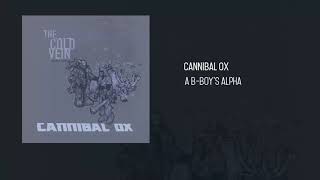 Cannibal Ox - A Bboy's Alpha (Subtitulado Español)